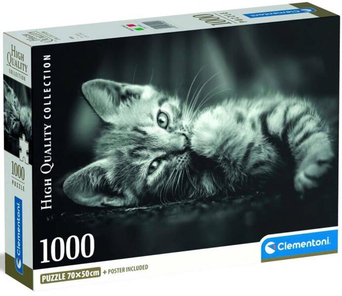 Kitty 1000 db-os (39950)