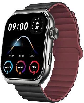SWM-300