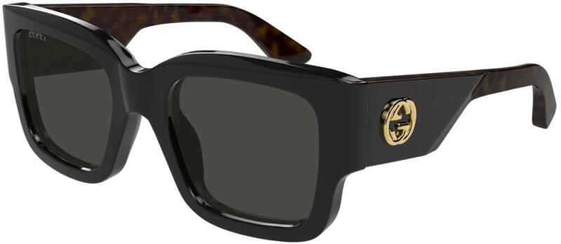 GG1663S 001