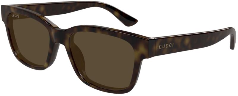 GG1716S 002