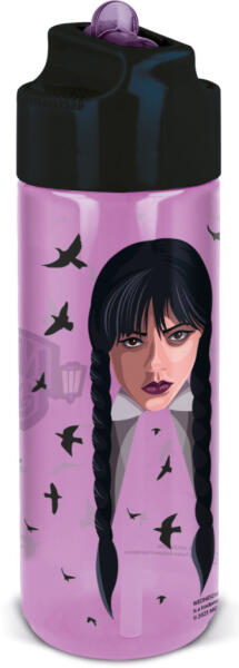 Wednesday Nevermore Academy 540 ml (STF76923)