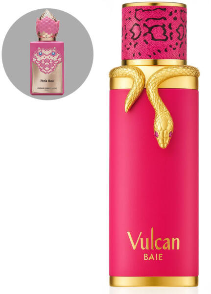 French Avenue Vulcan Baie EDP 100 ml Preturi French Avenue Vulcan