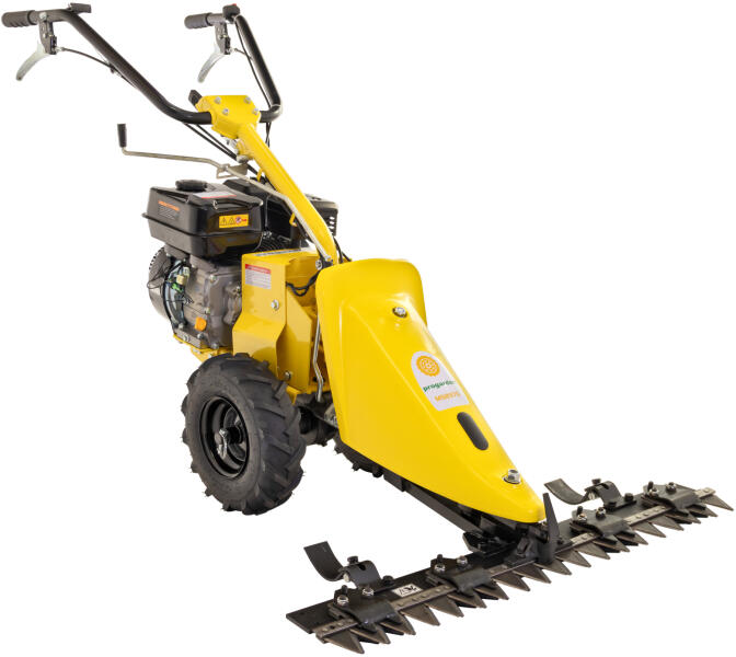 ProGarden MSB970 (5130000024) (Motocoasa) - Preturi
