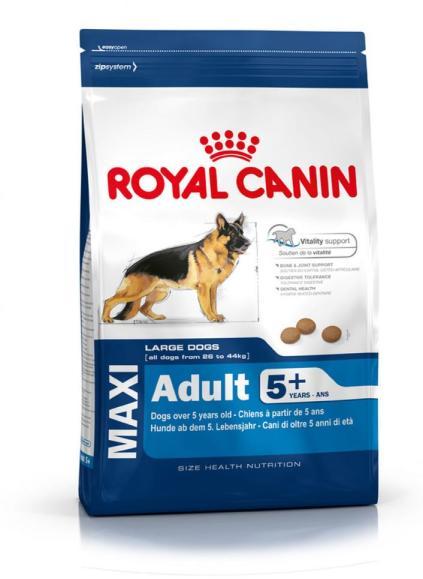 Maxi Adult 5+ 4 kg
