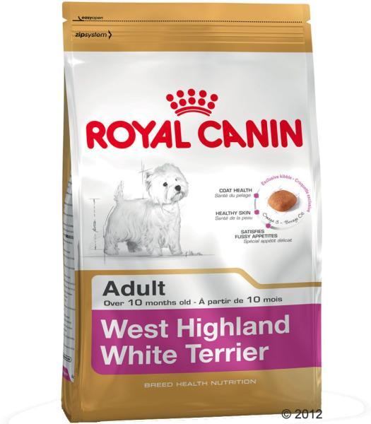 Adult West Highland White Terrier 3 kg