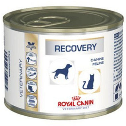 Recovery 195 g