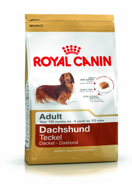 Dachshund Adult 500 g