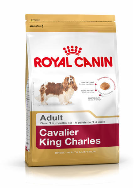 Cavalier King Charles Adult 1,5 kg