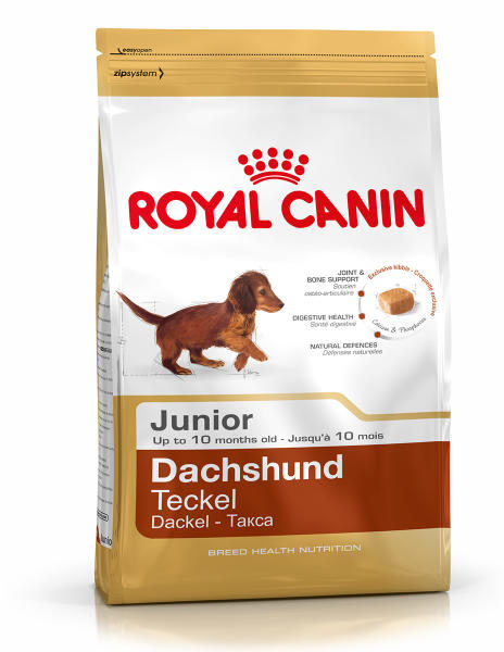 Dachshund Junior 1,5 kg