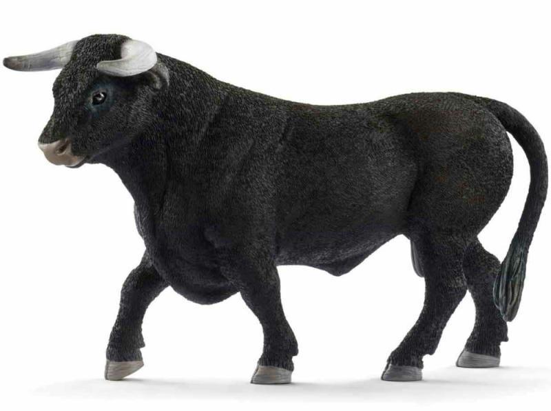 Fekete bika (13875)