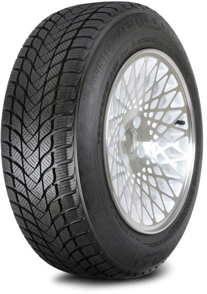 Winter Lander 195/55 R15 85H