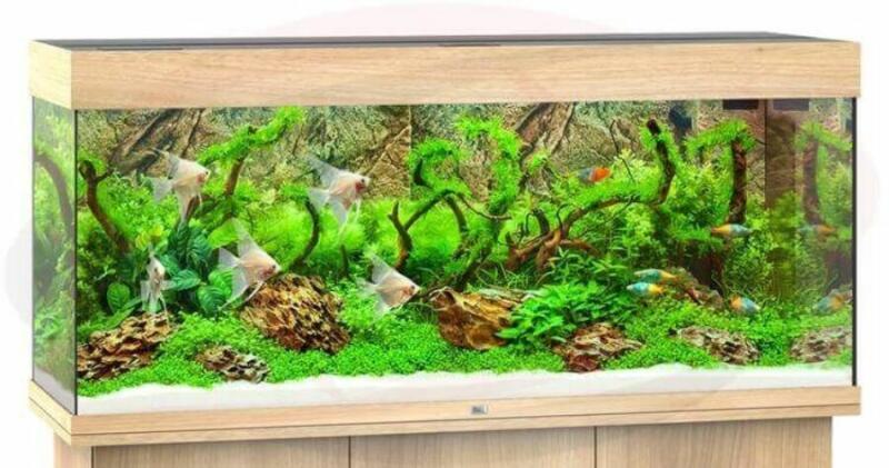Rio 240 LED