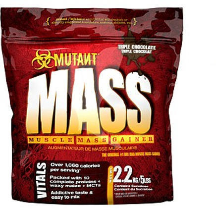 Mass 2200 g