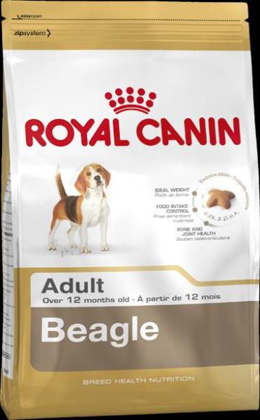 beagle royal