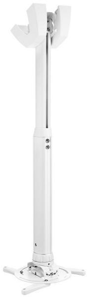 PPC 1555