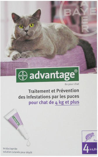 Spot On 4 kg feletti 0,8 ml