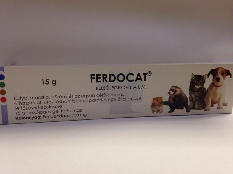 Vásárlás: Ferdocat Paszta Élősködők Ellen 15g Élősködők elleni készítmény  macskáknak árak összehasonlítása, Paszta Élősködők Ellen 15 g boltok