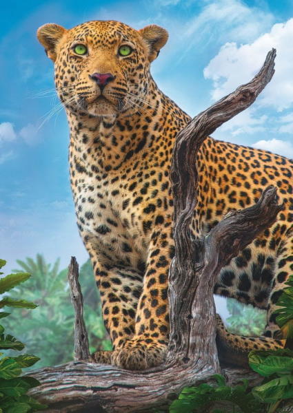 Leopárd 500 db-os (37332)