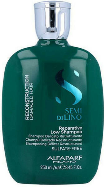 Semi di Lino Reconstruction sampon 250 ml
