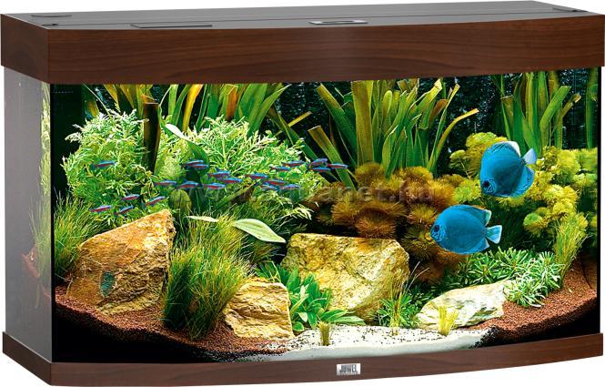Vision 180 LED