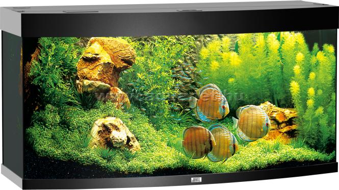 Vision 260 LED