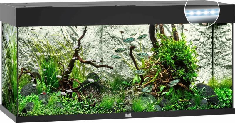 Rio 180 LED