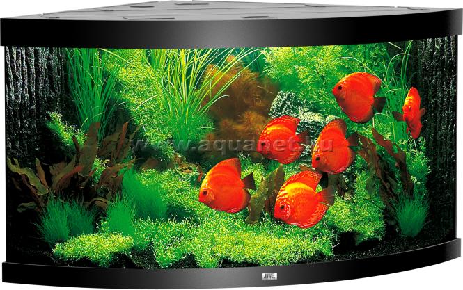Trigon 350 LED