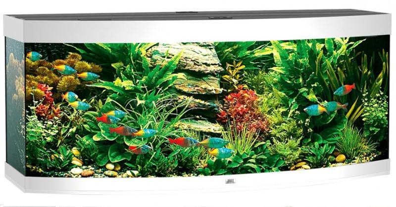 Vásárlás: JUWEL Vision 450 LED Akvárium árak összehasonlítása, Vision450LED  boltok