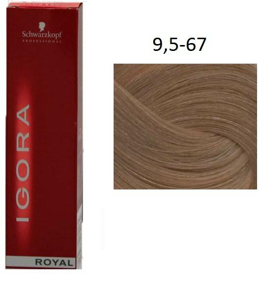 Vásárlás: Schwarzkopf Igora Royal 9.5-67 60 ml Hajfesték, hajszínező árak  összehasonlítása, Igora Royal 9 5 67 60 ml boltok