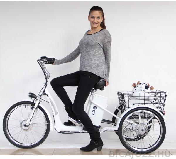 Vásárlás: Polymobil DW-101 Elektromos kerékpár árak összehasonlítása, DW  101 boltok