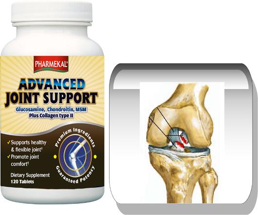 Advanced Joint Support 120 db