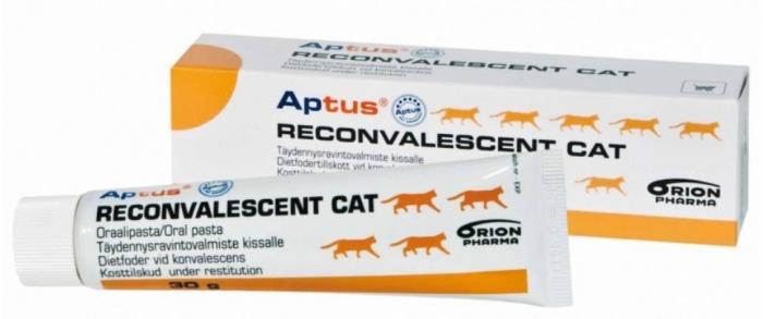 Reconvalescent Cat paszta 60 g