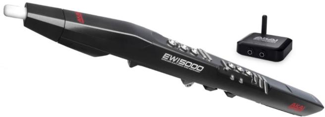 Professional EWI 5000