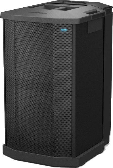F1 Subwoofer (731444-1110)