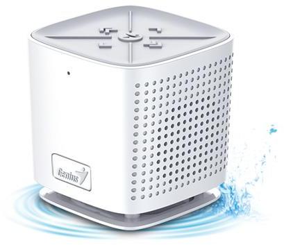 SP-925BT 2.1 (31731062101)
