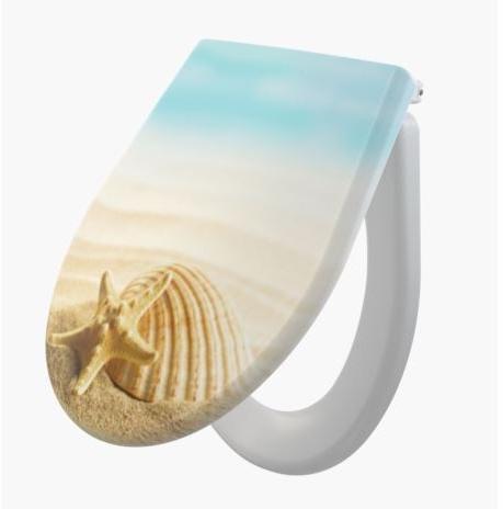A604 Shell