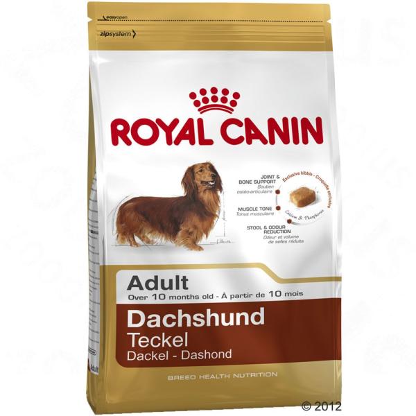 Glicozamina condroitină cumpără în brest, Durerile articulare dachshund