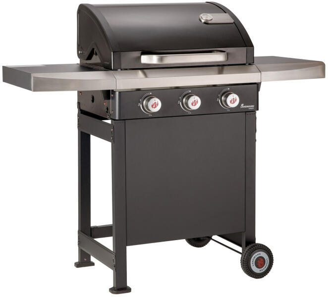 Rexon 3.0 Grill Chef Rexon (12229)