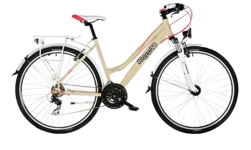 Traction 100 Lady