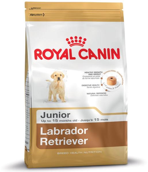Labrador Retriever Junior 12 kg