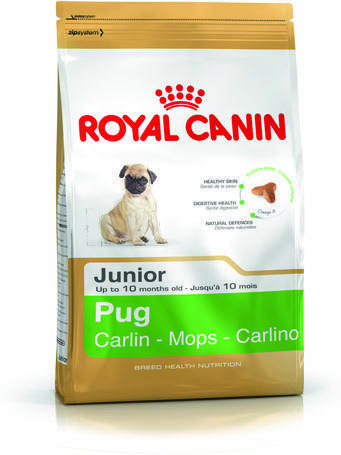Pug Junior 500 g