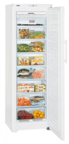 Liebherr GNP3013 (Congelator, lada frigorifica) - Preturi