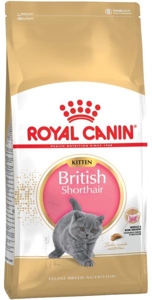 Royal Canin Kitten British Shorthair 2x10 kg Храна за котки Цени, оферти и  мнения, списък с магазини, евтино Royal Canin Kitten British Shorthair 2x10  kg