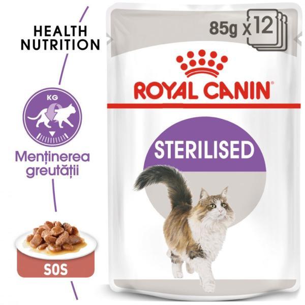 FHN Sterilised gravy 85 g