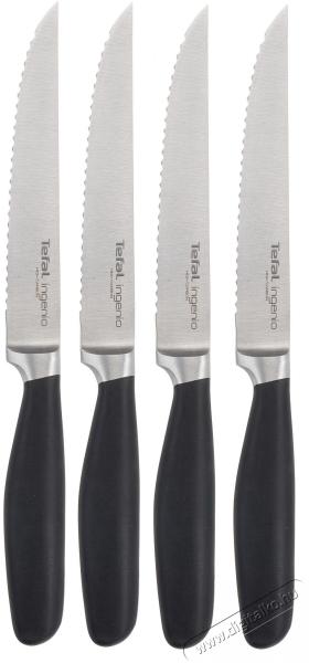 Vásárlás: Tefal Ingenio kés szett 4 db-os (091S414) Késkészlet árak  összehasonlítása, Ingenio kés szett 4 db os 091 S 414 boltok