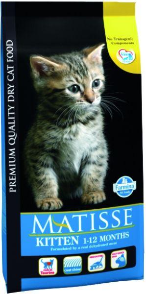 Kitten 10 kg