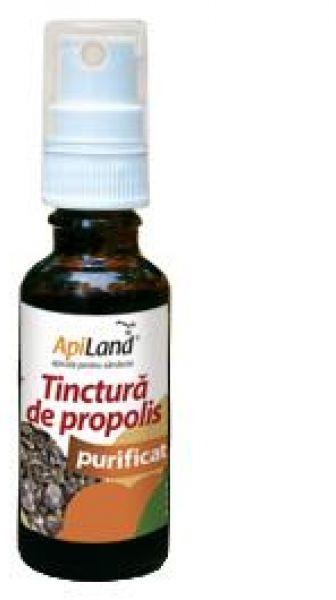ApiLand Tinctura de propolis purificat 95% 30 ml (spray) (Suplimente  nutritive) - Preturi