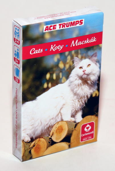 Macskás kártya