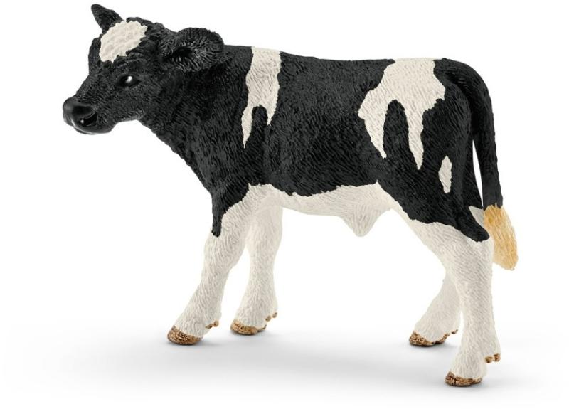 Holstein borjú (13798)