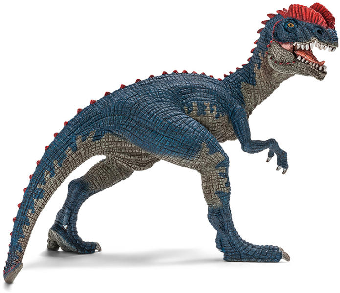 Dilophosaurus (14567)